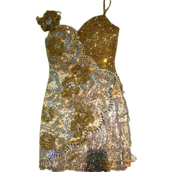 Luxury Couture Swarovski Crystals Runway Fringes Flowers Cocktail Glamour Dress - Picture 7 of 12